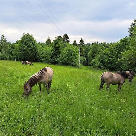 Sudecka Chata Bystrzyca Kłodzka Eksteriør billede
